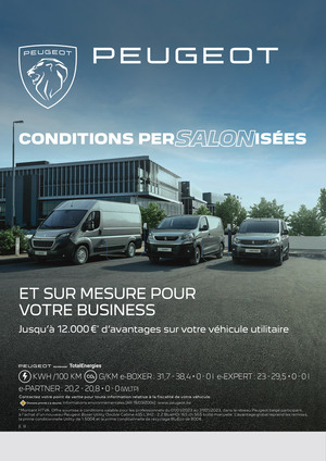 conditions peugeot persalonisees professionnels